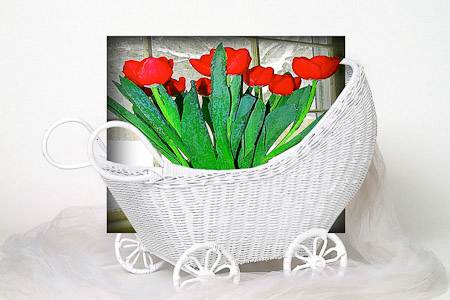Tulips in Wicker Stroller