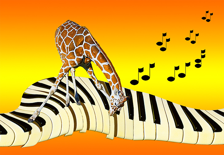 Giraffe Plays Piano