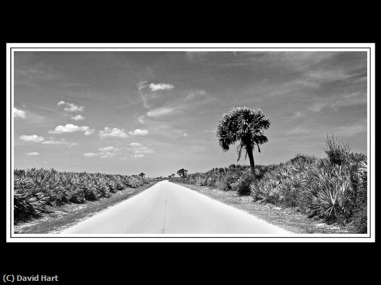 Missing Image: i_0024.jpg - Lonely Road