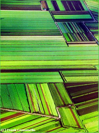 Missing Image: i_0004.jpg - Onion Fields