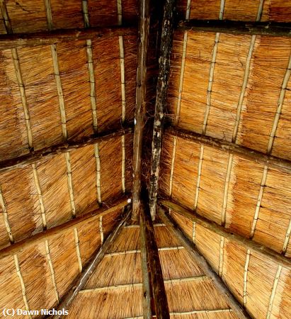 Missing Image: i_0035.jpg - Thatched Roof, Botswana