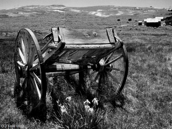 Missing Image: i_0035.jpg - Old Bodie Wagon and Flowers