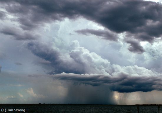 Missing Image: i_0055.jpg - Tampa Bay Storm