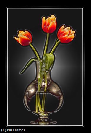 Missing Image: i_0059.jpg - Photo Shop Tulips