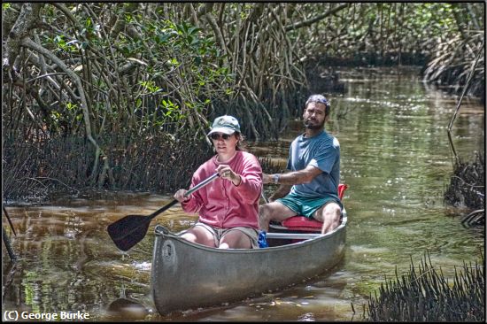 Missing Image: i_0003.jpg - Canoeing in the Everglades