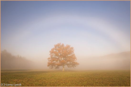 Missing Image: i_0002.jpg - Fogbow- Cades Cove- Tennessee