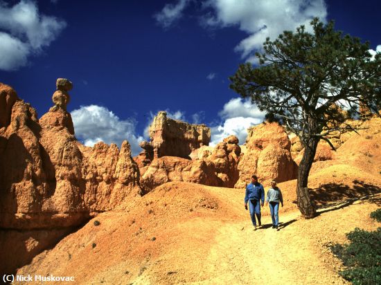 Missing Image: i_0038.jpg - Bryce-canyon-hikers