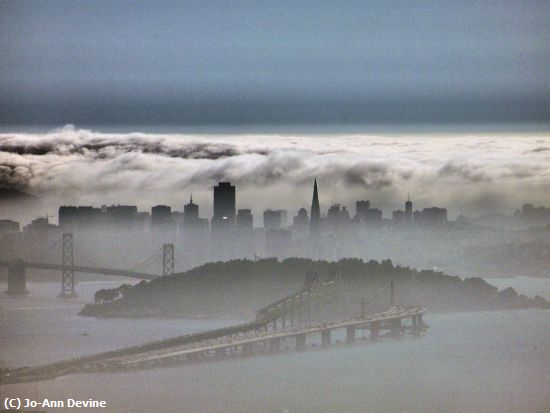Missing Image: i_0047.jpg - San Francisco Fog