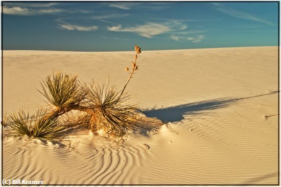 Missing Image: i_0016.jpg - White Sands, New Mexico