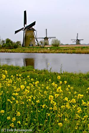 Missing Image: i_0009.jpg - three-Windmills