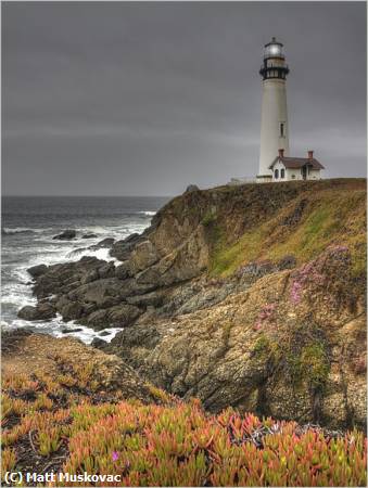 Missing Image: i_0031.jpg - Pigeon Point Lighthouse