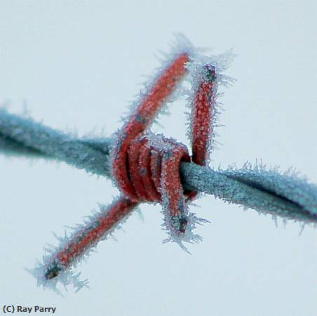 Missing Image: i_0013.jpg - frost on barb wire