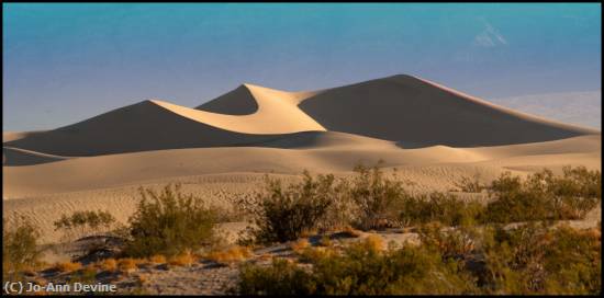 Missing Image: i_0037.jpg - Dunes and Desert Plants