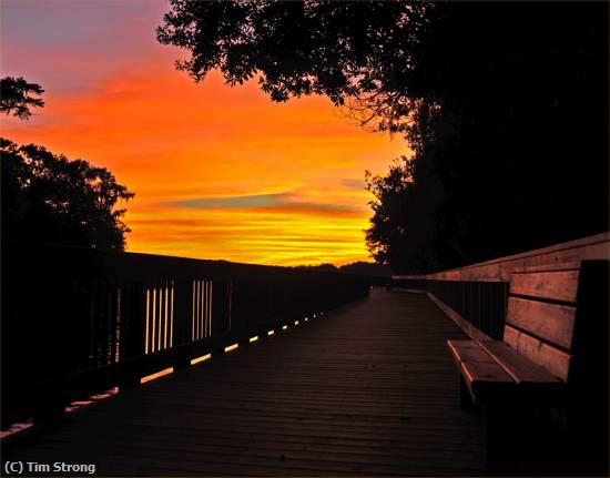 Missing Image: i_0003.jpg - Boardwalk Sunset