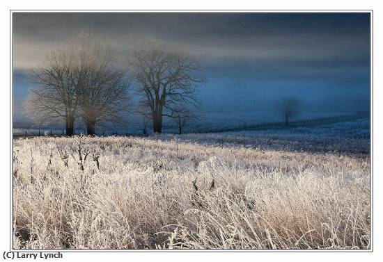 Missing Image: i_0069.jpg - Morning Frost, Cades Cove