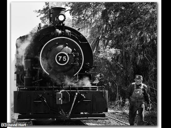 Missing Image: i_0034.jpg - Locomotive and Trainman