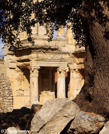 Missing Image: i_0042.jpg - Ephesus Framed by Tree