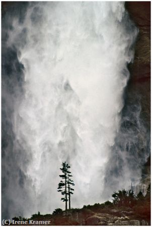 Missing Image: i_0053.jpg - Lone Pine at Bridal Veil Falls