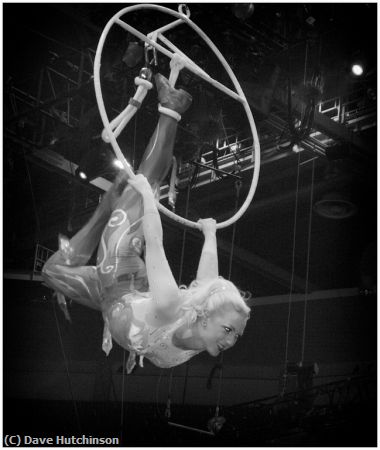 Missing Image: i_0016.jpg - Girl-on-the-Flying-Trapeze-