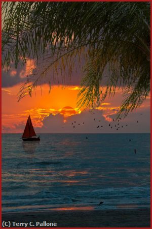 Missing Image: i_0053.jpg - Red-Sails-in-the-sunset