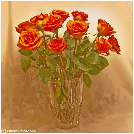 Missing Image: i_0049.jpg - Golden Roses