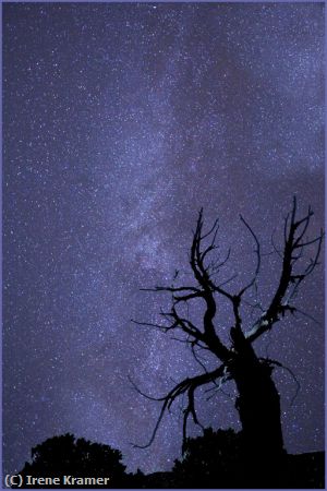 Missing Image: i_0018.jpg - Milky Way With Snag