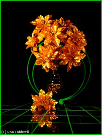 Missing Image: i_0021.jpg - Gold Flower