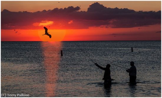 Missing Image: i_0007.jpg - Sunset-fishing