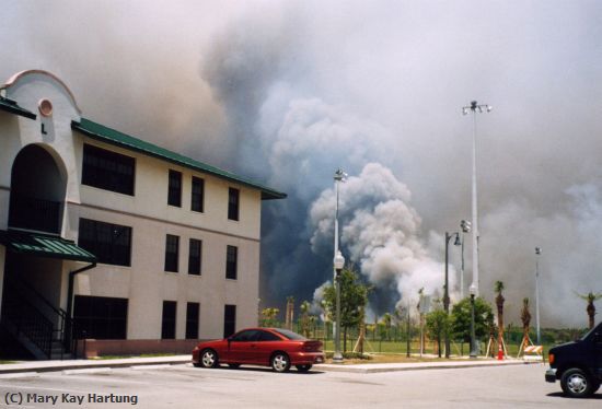 Missing Image: i_0034.jpg - Campus on Fire
