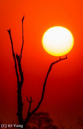 Missing Image: i_0028.jpg - Africa Sunrise