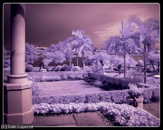 Missing Image: i_0007.jpg - Lakeland Park Infrared