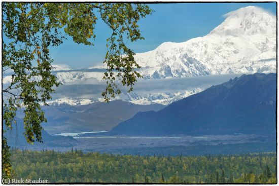 Missing Image: i_0012.jpg - Denali- The Great One
