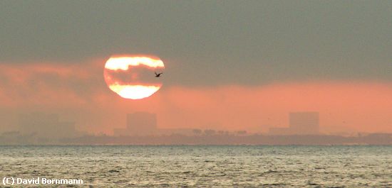 Missing Image: i_0001.jpg - Sunrise over Tampa