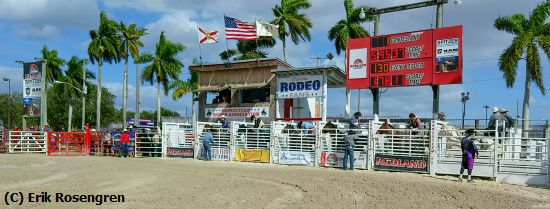 Missing Image: i_0041.jpg - Ready-to-start-Homestead-Rodeo