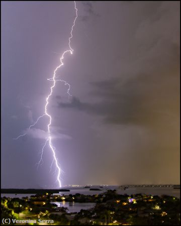 Missing Image: i_0001.jpg - The Tampa Bay Lightning
