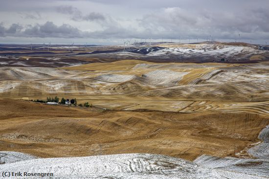Missing Image: i_0041.jpg - Snow-in-the-Palouse