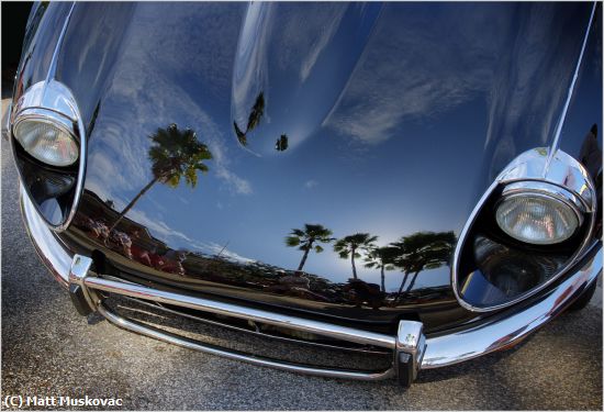 Missing Image: i_0035.jpg - Jaguar Reflection