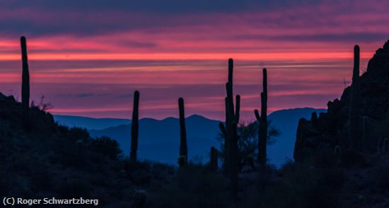Missing Image: i_0025.jpg - Arizona Sunset