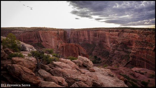 Missing Image: i_0021.jpg - Canyon de Chelly