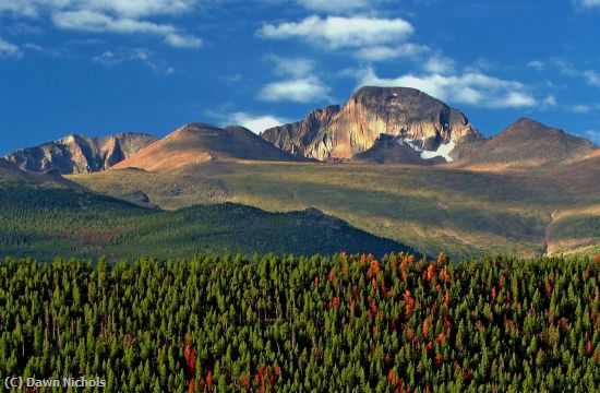 Missing Image: i_0003.jpg - Rocky Mountain Autumn