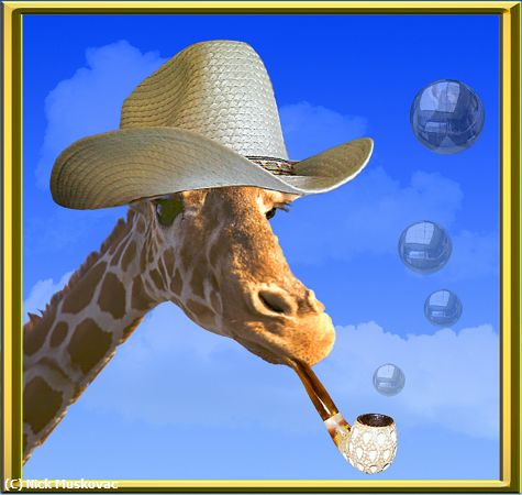 Missing Image: i_0051.jpg - Giraffe-blows-bubbles