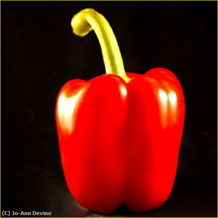 Missing Image: i_0033.jpg - Red Pepper