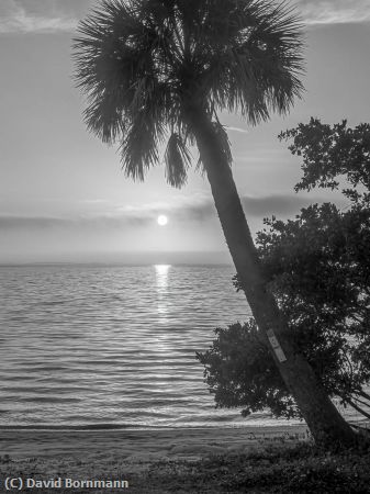 Missing Image: i_0069.jpg - Florida Sunrise