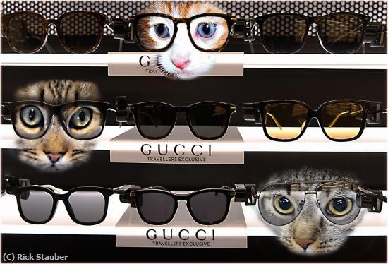 Missing Image: i_0044.jpg - Three Gucci Cats