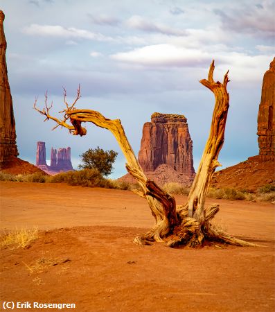 Missing Image: i_0037.jpg - Round-A-Bout-Monument-Valley