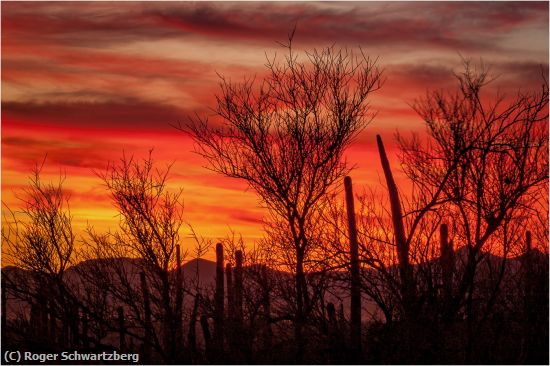 Missing Image: i_0007.jpg - Tuscon Sunset