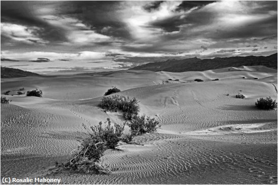 Missing Image: i_0074.jpg - Mesquite Flats Sand Dunes