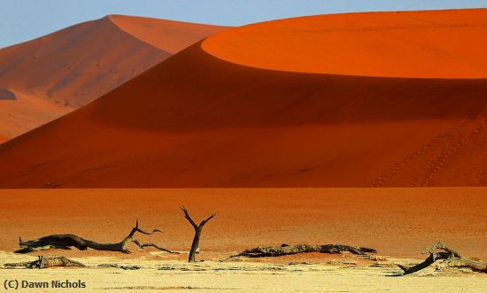 Missing Image: i_0046.jpg - Namib Desert