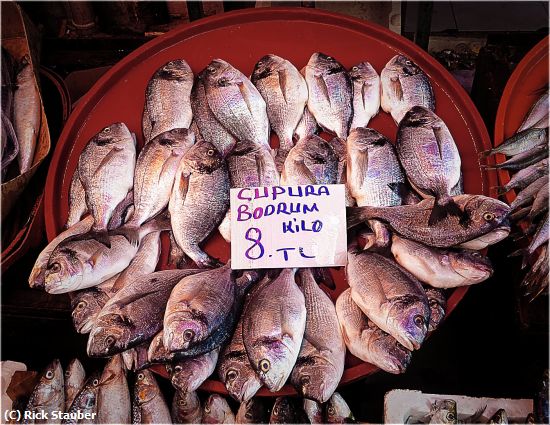 Missing Image: i_0051.jpg - Fresh Fish in Bodrum