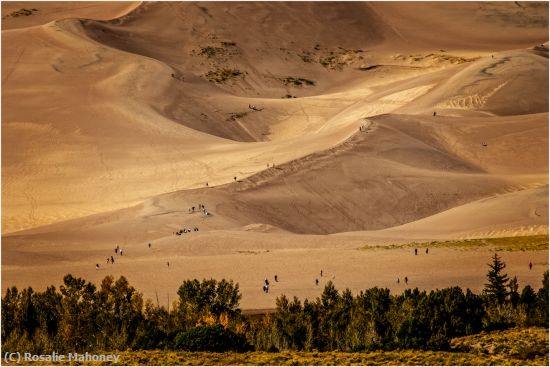 Missing Image: i_0028.jpg - Late Day at Great Sand Dunes